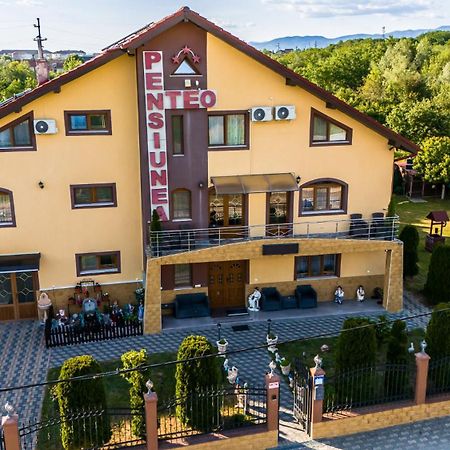 Pensiunea Teo Caransebeş Exteriör bild